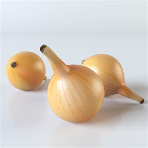 3ds max onion