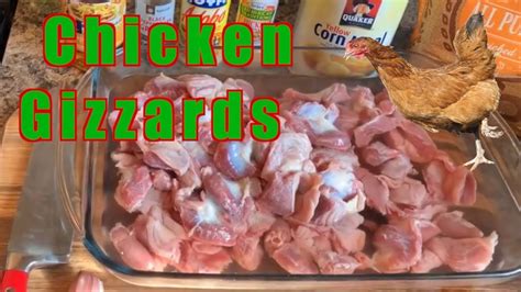 gizzard