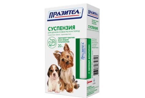 10 лучших глистогонных препаратов для собак и кошек в рейтинге 2020
