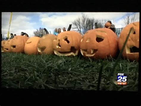 boston fox 25 news 2