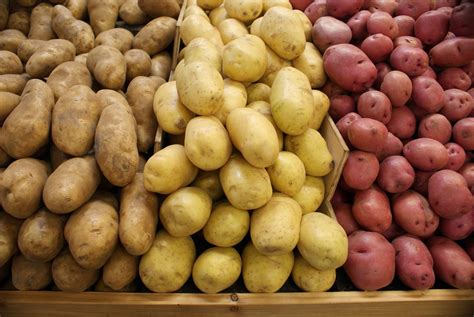 potatoes red yukon gold russet flavor  cooking