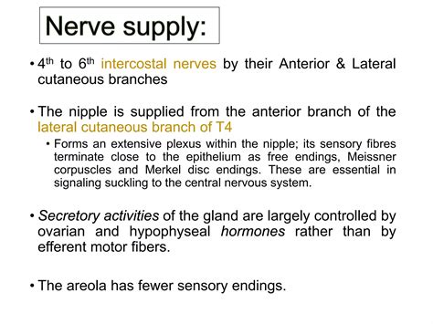 Breast anatomy | PDF
