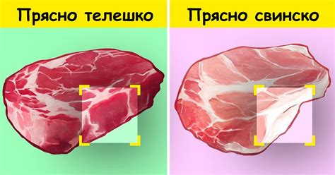 Как да изберем правилното месо | Dama.bg - Любимият сайт на всяка дама