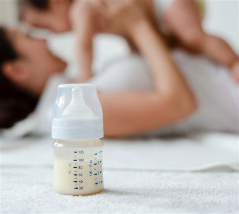 peraturan minum susu formula  bayi  lahir dr mommy baby