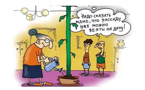 Огородные приколы и фразы с картинками