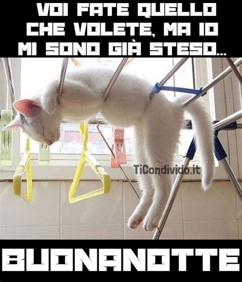 Le più Divertenti Immagini di Buonanotte per Facebook e WhatsApp
