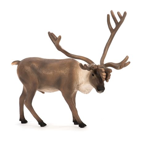 wooden wild animal toys 3