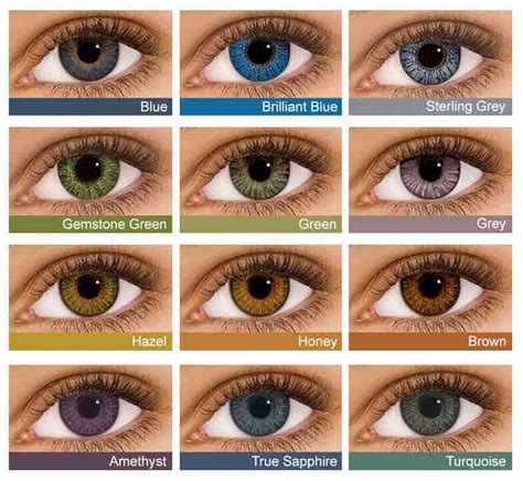 endonklayan: Lenses Color / Microeyelenses Com Colored Contact Lenses ...