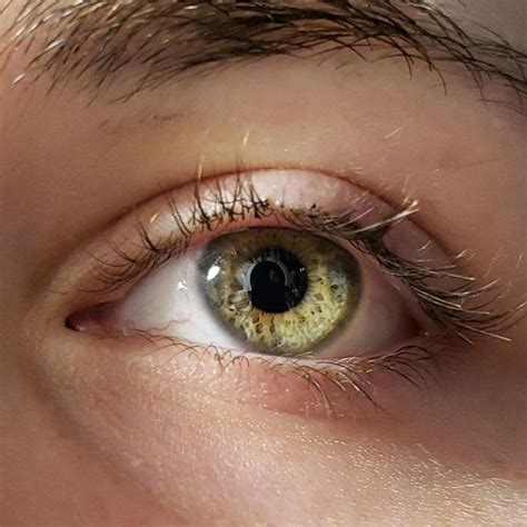 Amber eyes in natural light : eyes