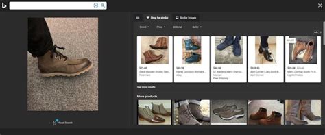 bing visual search  windows search bar