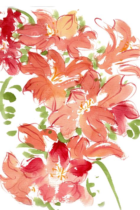 Orange Alstroemeria, Ink Painting, Bloom, Flowers PNG Transparent