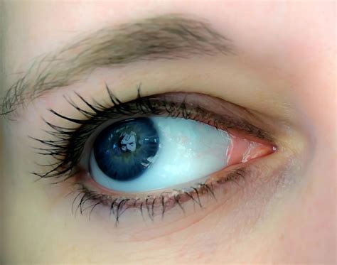 I See You Free Stock Photo - Public Domain Pictures