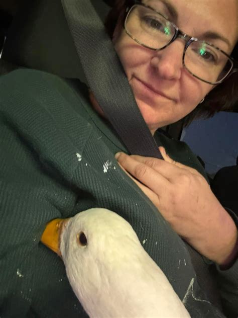 Navigation and Directions to Riverbend Events 6