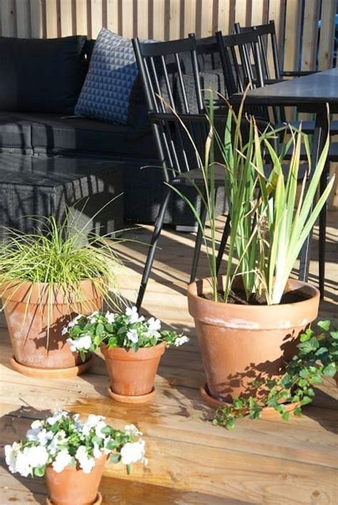 Trending now: black exteriors - Honka