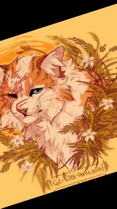 коты воители Яролика 💖 - YouTube