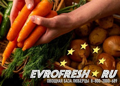 Оптовая овощная база Люберцы