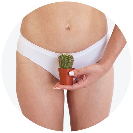 Гель для интимной гигиены EVO Intimate «Успокоение и восстановление» в ...