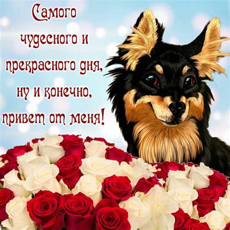 Открытка с пожеланием Чудесного и Прекрасного Дня и красивая картинка ...