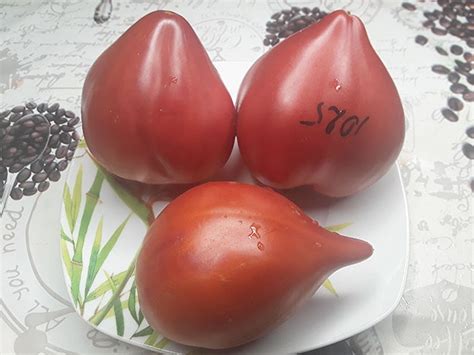 Семена: Томат Сердце быка Гресси /Cuore di Bue Gressi/. Розовые и ...
