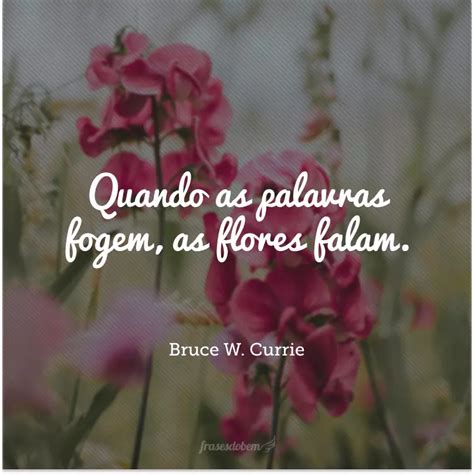 Flores Frases E Mensagem - 60 frases de flores que vão trazer um colorido especial para seu dia