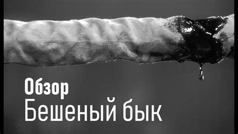 КАК ХАРАКТЕР МЕНЯЕТ БУДУЩЕЕ ЧЕЛОВЕКА | БЕШЕНЫЙ БЫК | ОБЗОР КИНО - YouTube