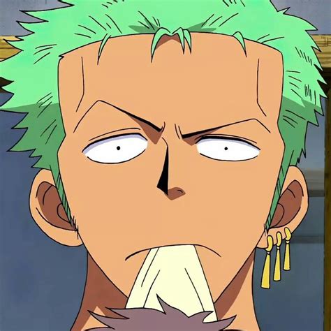 Roronoa Zoro | Zoro one piece, Roronoa zoro, Zoro