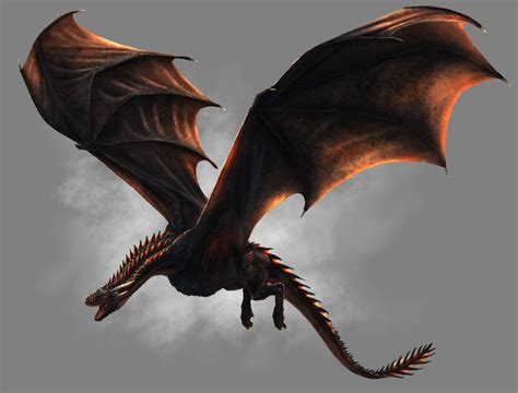 Realistic Dragons Drawings