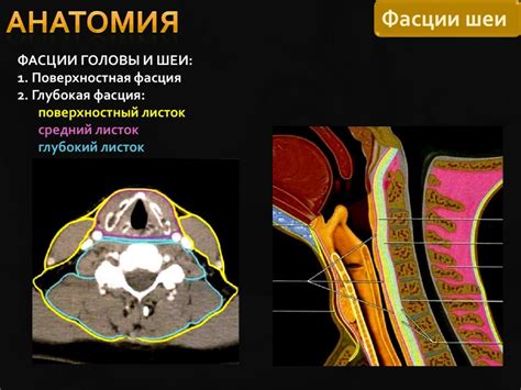КТ-диагностика злокачественных опухолей ротовой полости, глотки, гортани