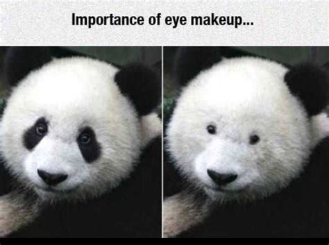 Importance of eye makeup : r/funny