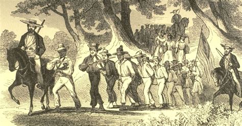 US Slave: Slave Coffle, Near Paris, Kentucky, 1850s
