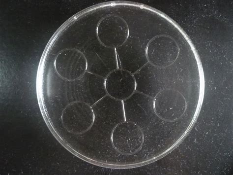BIO-DISC UNIQUENESS & SERVICES: Bio Disc - Product Overview