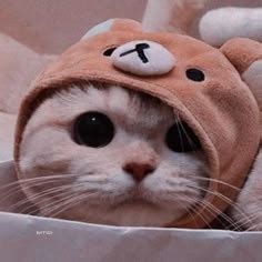 9 Girl x girl matching pfp :) ideas | matching pfp, cat profile, cute icons