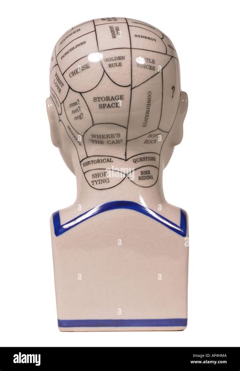 Phrenology hi-res stock photography and images - Alamy