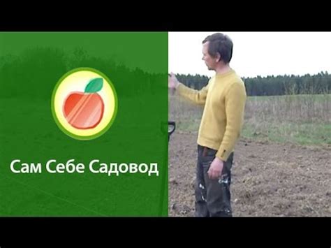Сажаем низкорослый сад - YouTube