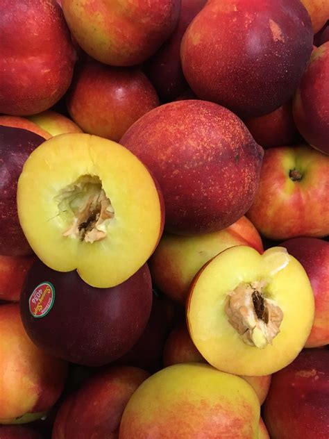 Santori's - Here are our current specials at Santori‘s produce markets