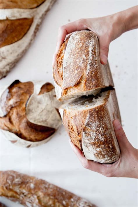 Home | Triticum