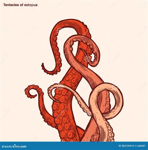 Red Octopus Tentacles Reaching Upwards. Squid-like Marine Animal. Stock