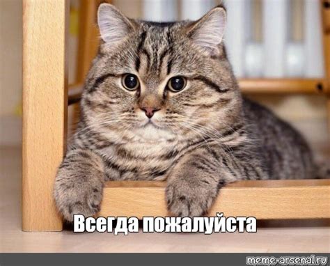 Meme: "Всегда пожалуйста" - All Templates - Meme-arsenal.com