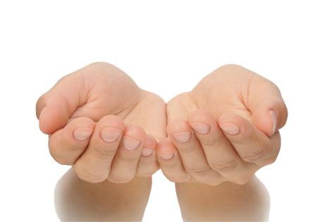 future   profession    hands chiropractic economics