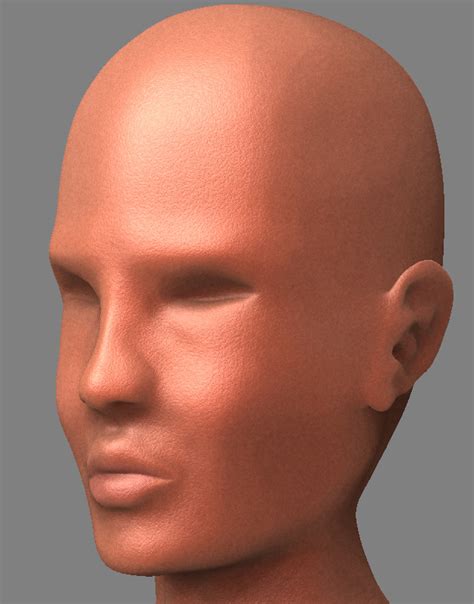 Female Head [WIP] - ZBrushCentral