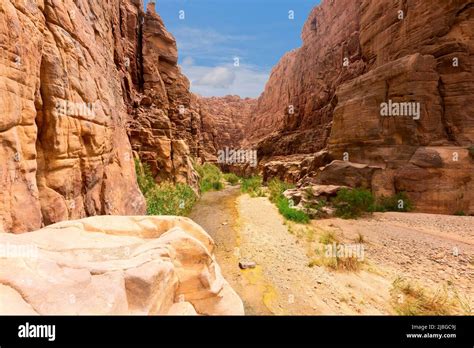 river canyon  wadi mujib  amazing golden light colors wadi mujib