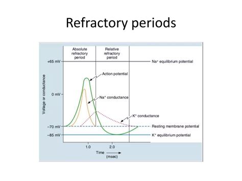 Excitable tissue Physiology | PPTX