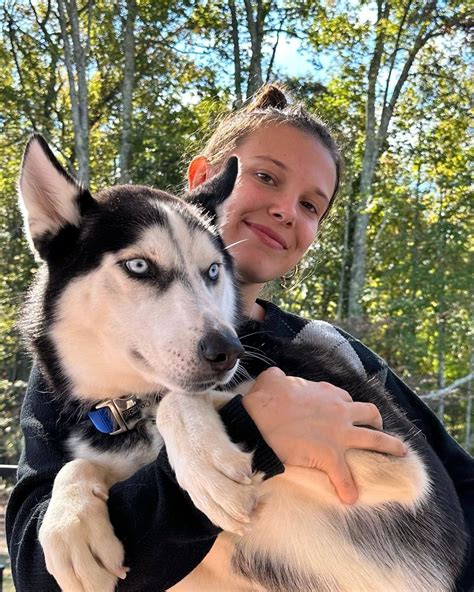 The Future Of Millie Bobby Brown: What's Next For The Star? Image 19