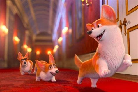 Royal Corgi : bande-annonce et invitations - Sortiraparis.com
