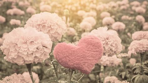 mengenal kasih allah rock ministry