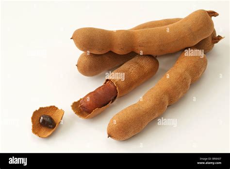 Tamarind (Tamarindus indica). Whole and opened pods, studio picture ...
