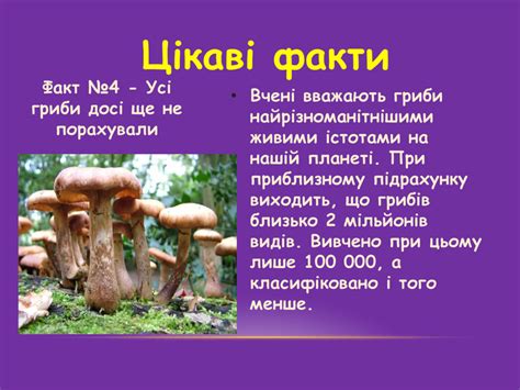 Презентація " Особливості грибів"