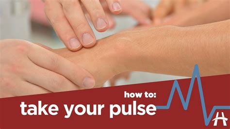 How to take your pulse - YouTube