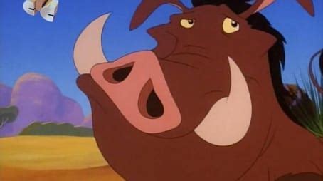 Timon & Pumbaa: Season 1 (1995) — The Movie Database (TMDB)