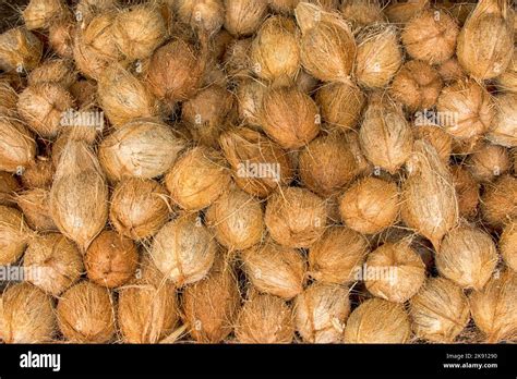 Fruits of Sri Lanka Stock Photo - Alamy